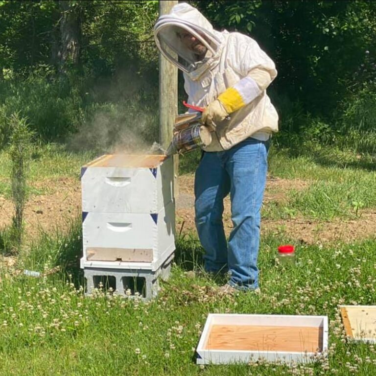 bee keeping hive-min